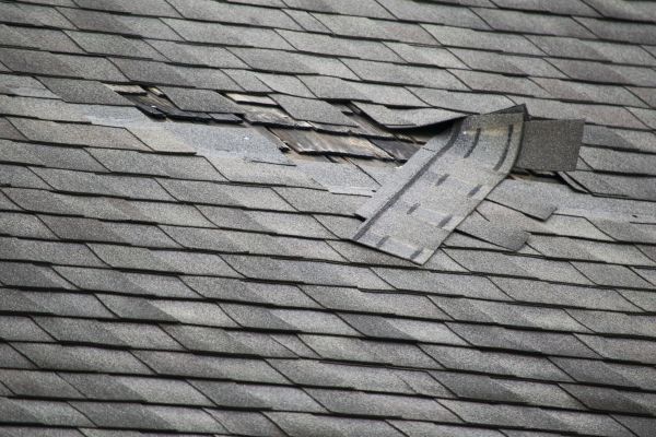Professional Roof Leak Repair