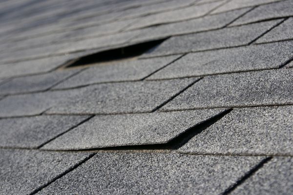 Professional Shingle Replacement Service
